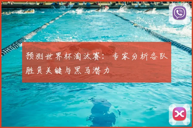 预测世界杯淘汰赛：专家分析各队胜负关键与黑马潜力