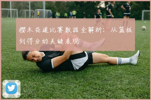 樱木花道比赛数据全解析：从篮板到得分的关键表现