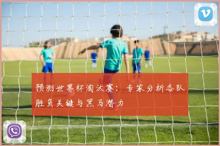 预测世界杯淘汰赛：专家分析各队胜负关键与黑马潜力