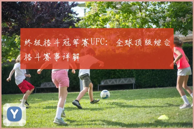 终极格斗冠军赛UFC：全球顶级综合格斗赛事详解
