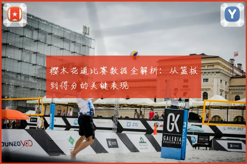 樱木花道比赛数据全解析：从篮板到得分的关键表现